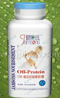 �������ϡ�OB������