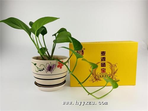 ��Դ����