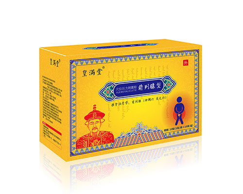 Ѩλѹ���̼��� ǰ������