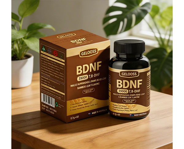 ���޹������ ��Դ �羳���� BDNF