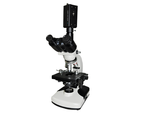 һ��Ѫ����ǣ�ѪҺ���������Ѫϸ�������������ֱ��