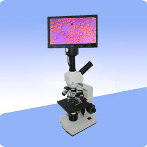 һ��Ѫ�����һ�����7������