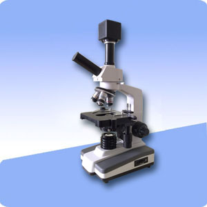 һ��Ѫ����Ǽ۸�